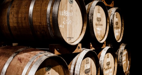 la bodega